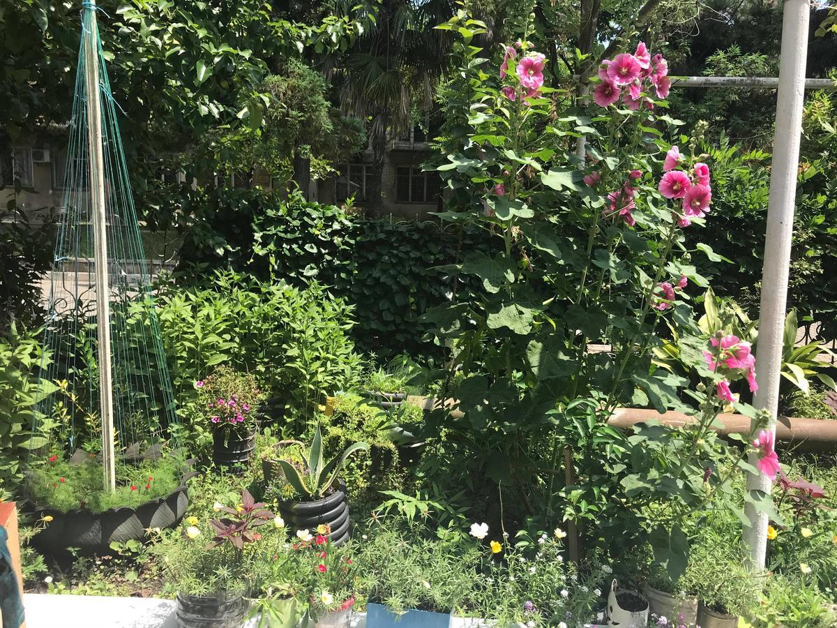 Anna Hostel Kobuleti Dış mekan fotoğraf