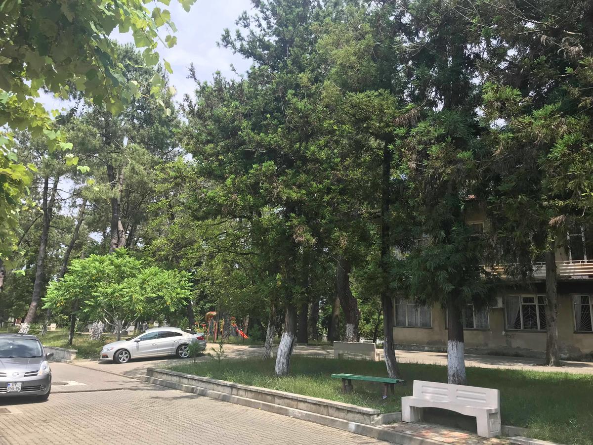 Anna Hostel Kobuleti Dış mekan fotoğraf