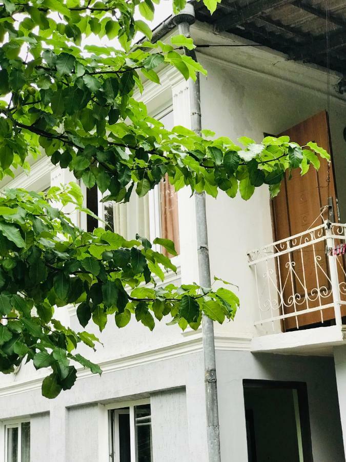 Anna Hostel Kobuleti Dış mekan fotoğraf